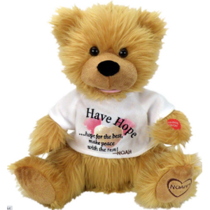 Message Bear Customize Your Plushies Toys